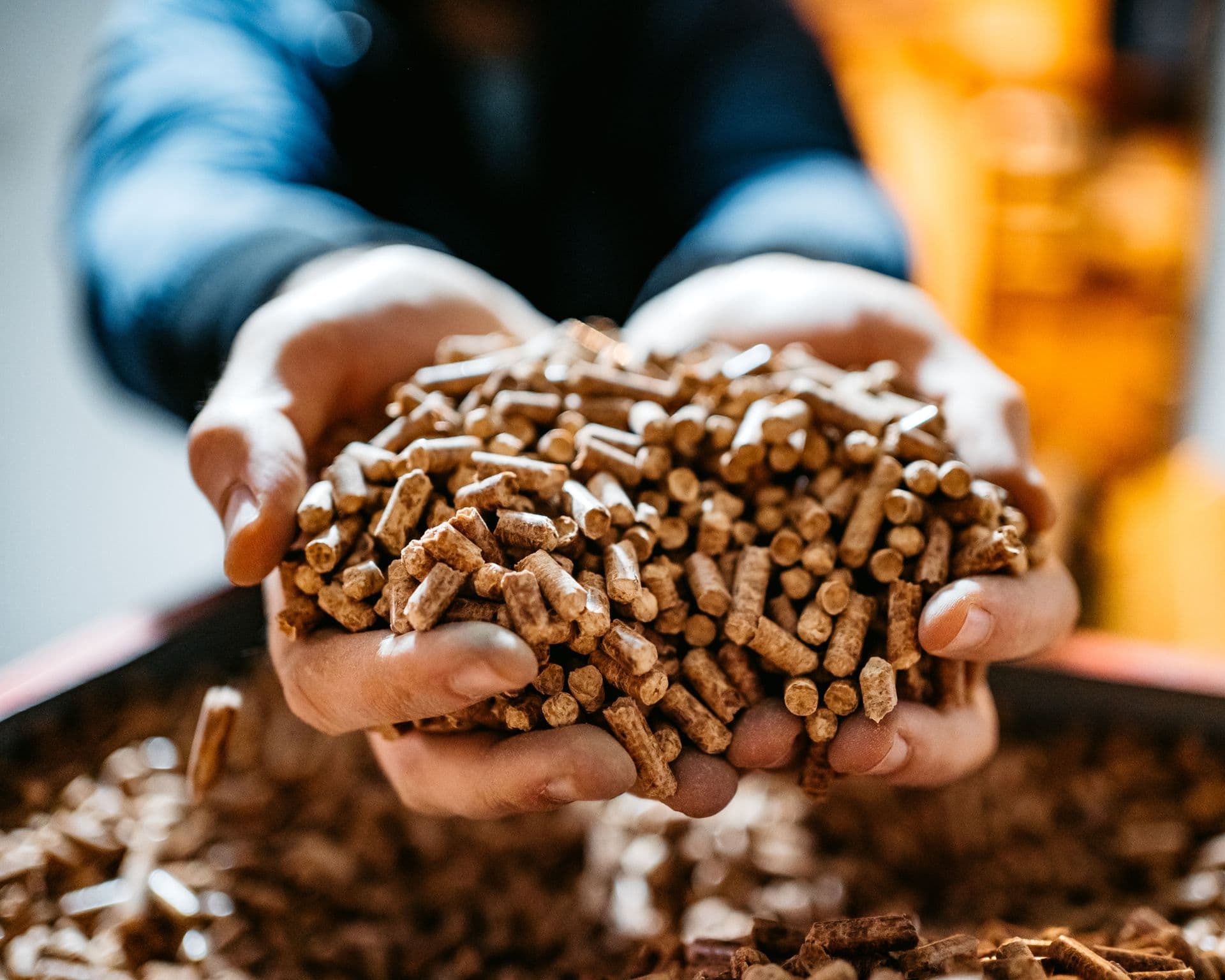 Pellets de Madeira de Pinus